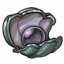 Left-Sided Clam with Dark Pearl