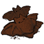 Chocolate Bat Cookies