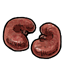 Kidneys Beanbag