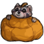 Raccoon Pumpkin Pal Beanbag