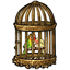 Ornate Caged Lovebirds