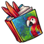 Caring For Parrots