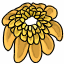 Chrysanthemum Shawl