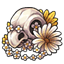 Blossom-Wrapped Bird Skull