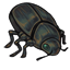 Replica Beetle