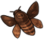 Replica Moth