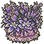Lavender Columbine and Blue Lachenalia Bouquet