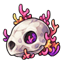Coral-Covered Skull