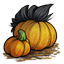 Black Crested Pumpkin