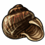 Curvy Snail Shell