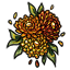 Delicate Chrysanthemum Bundle