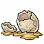 Discarded Eggshell