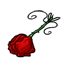 Dried Red Rose