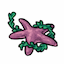 Entangled Purple Starfish