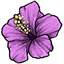 Purple Hibiscus Barrette