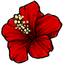 Red Hibiscus Barrette