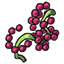 Grape Vine Pearls