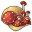 Fly Mushroom Cap