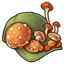 Rot Mushroom Cap
