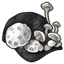 Skeletal Mushroom Cap
