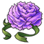 Purple Paper Carnation