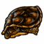 Patterned Turtle Shell