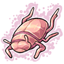 Shiny Pink Beetle