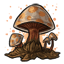 Sprouting Mushrooms