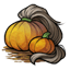 Ashen Tailed Pumpkin
