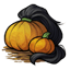 Black Tailed Pumpkin