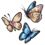 Thriving Butterflies