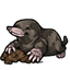 Mole Companion