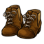 Small Brown Boots