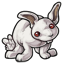 Bad Taxidermy Bunny