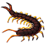 Replica Giant Centipede