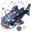 Pearly White Rhincodon Shimmer
