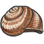 Gigantic Snail Shell
