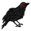 Simulacrum of a Desolate Crow