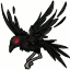 Wings of a Desolate Crow