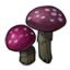 Moonlit Fairy Mushrooms