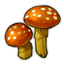 Dawnlit Fairy Mushrooms