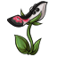 Black Blooming Flower Heels
