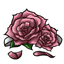 Pure Rose Garter