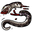 Stolen Tail Of A Scaleless Snake