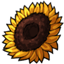 Giant Sunflower Hair Clip