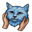 Blue Squished Kitty Face