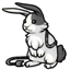 Sassy Ears of the Sassy Bun