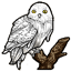 Snowy Owl Companion