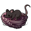 Dusk Braided Rat Nest