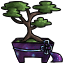 Galactic Ribbon of the Potted Bonsai